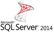 MICROSOFT GOLP/ SQLCAL 2014 OLP NL Gov UsrCAL (359-06118)