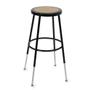 ERGOTRON Classroom Stool black