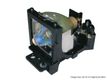 GO LAMPS Go Lamp f SP.85Y01GC01