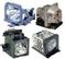 GO LAMPS Go Lamp f 610 336 5404
