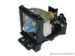 GO LAMPS Go Lamp for 5J.J9R05.001 UHP