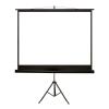 4World Projection screen with stand 203x152 (100'', 4:3) Matt White (08143)