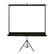 4World Projection screen with stand 203x152 (100'', 4:3) Matt White
