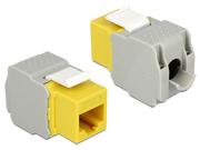 Delock Keystone module - modulinnlegg