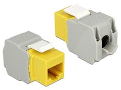 Delock Keystone module - modulinnlegg