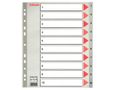 ESSELTE Indices  PP A4 Maxi 1-10 Grey