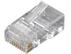 BLACK BOX CAT6 Modular Plug 100 pak