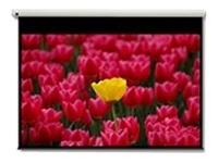 OPTOMA motorisert lerret 265x149 cm 120", 16:9, RS-232, F.kontroll (DE-9120EGA)