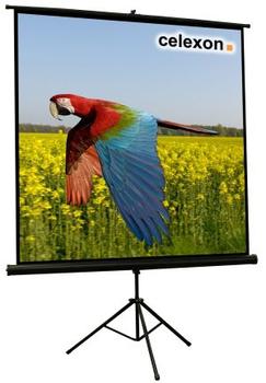 Celexon Economy 1:1 Tripod Screen 219 x 219 (1090017)