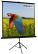 CELEXON Economy 1:1 Tripod Screen 219 x 219