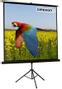 CELEXON Economy 1:1 Tripod Screen 219 x 219