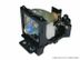 GO LAMPS Go lamp for VIEWSONIC RLC-058 Phoenix