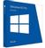 MICROSOFT MS 1x Win Pro GGK 8.1 x32 DSP DVD (DK)