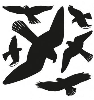 HERMA Fensterdecor Warnvögel 30x30 cm (5999)