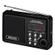 SENCOR SRD 215 B Privat radio Sort  (SRD 215 B)