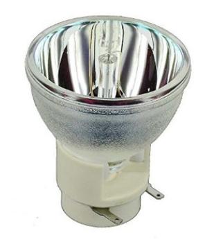BENQ projector lamp (5J.J9P05.001)