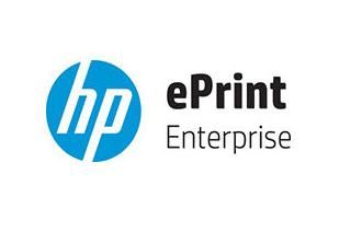 HP EPRINT ENTERPRISE CHANNEL USER SINGLESERVER 100 USER LICS (B6T73AAE)