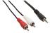 VALUELINE Lydkabel Minijack 3.5 mm - 2x Phono RCA M/M 10 m