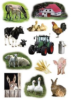 HERMA Etikett dekor gårdsdyr (fp med 3 ark) (3358*10)