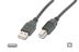 ASSMANN Electronic USB-Kabel USB2.0 Typ A -> Typ B St/St 1,80m schwar