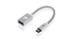 IOGEAR USB-C To USB TYPE-A, Silver