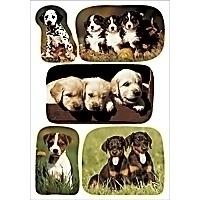 HERMA Sticker DECOR photos of puppies (3528*10)
