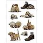 HERMA Decor Stickers whelps 3 sheets