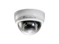 LEVELONE IP-Cam LAN 2MP MiniDome PoE Tag/Nacht (FCS-3101)