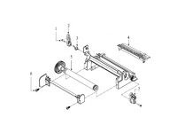 TSC TTP-2410M Platen roller assembly (98-0240030-00LF)