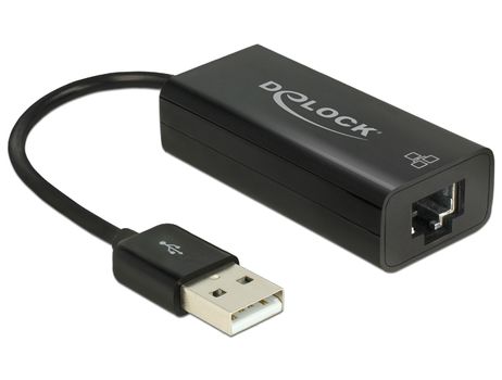 DELOCK Netværksadapter USB 2.0 100Mbps Kabling (62595)