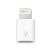 APPLE LIGHTNING TO MICRO USB ADAPTER IN ACCS