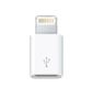 APPLE LIGHTNING TO MICRO USB ADAPTER IN ACCS
