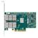 DELL ConnectX(R)-3 Dual-Port VPI DELL UPGR