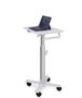 ERGOTRON StyleView S-Tablet Cart SV10