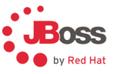 RED HAT RHJBoss Web Server 16C Std