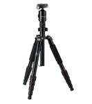 ROLLEI Compact Traveler No. 1 Black