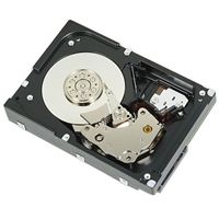 DELL 1_2TB 10K RPM Self-Encryp SAS 12Gbps 2_5in Hot-plug Hard Drive_3_5in HYB CARR_FIPS140-2_CusKit (400-AGVY)