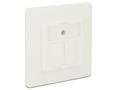 DELOCK Keystone Wall Outlet 2-Port Compact