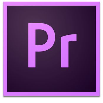 ADOBE VIP EDU Premiere Pro MLP 12M Renewal (ML) Enterprise Licensing Subscription Monthly Named Level 2 (65271517BB02A12)