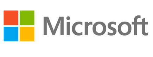 MICROSOFT MS OVL-GOV Access Software Assurance 1 License Additional Product 3Y-Y1 (077-05317)