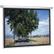 PROJECTA SlimScreen 125x125 Matte White