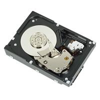 DELL - harddisk - 2 TB