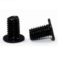 ACER SCREW.2.5D.3.2L.K.6D.NI (86.R4F02.006)