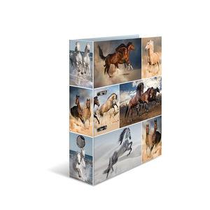 HERMA Ordner A4 Pferde (7164)