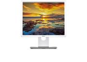 DELL P1917SWh - LED-skjerm - 19"