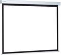 DA-LITE ProScreen Matte White (Non Tensioned) No black borders 200cm x 200cm