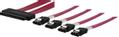ADDONICS Multilane SAS SFF8484 till 4xSATA 7-pin, 70cm