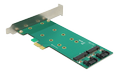 DELOCK PCI Express Card >2 x internal M.2 key B 110 mm Low Profile Form Fact