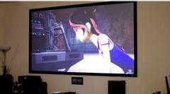 ELITE SCREENS Rahmen Beamerlei