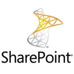 MICROSOFT MS OPEN-NL SharePointStdCAL 2016 UsrCAL (76M-01600)